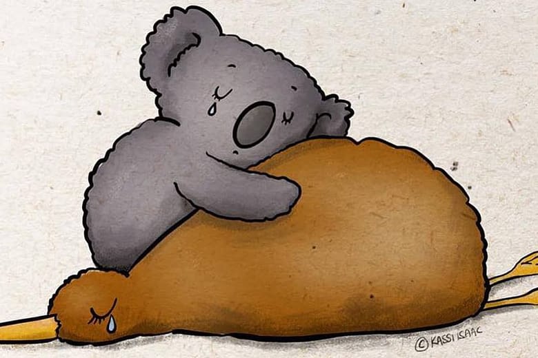 Kiwi and koala instagram picture from kassiisaac