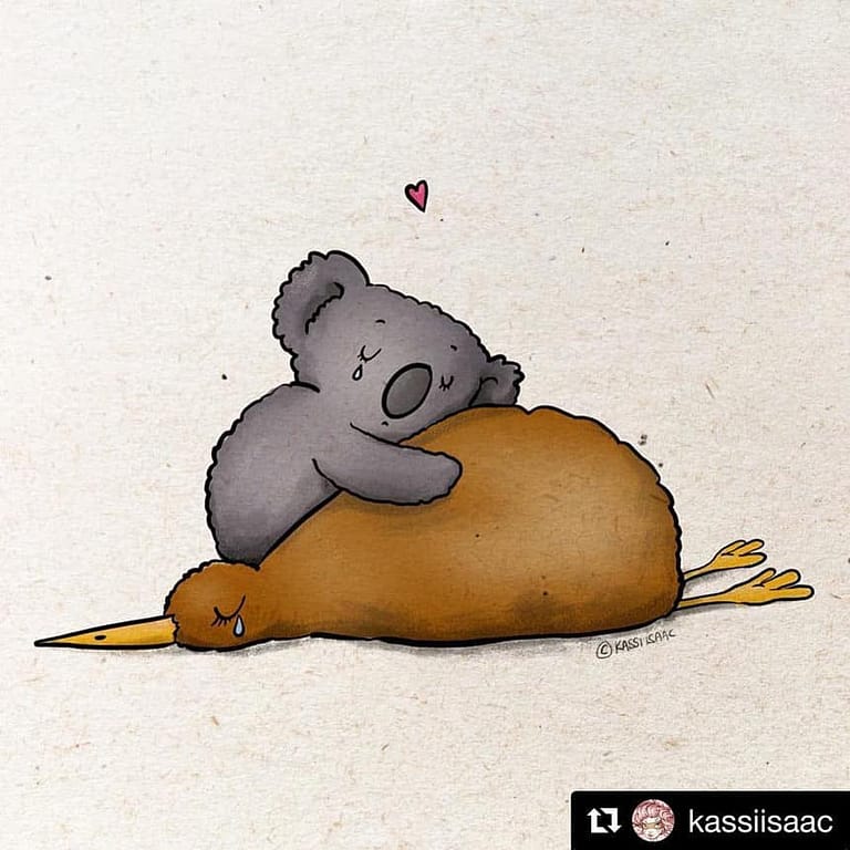Kiwi and koala instagram picture from kassiisaac